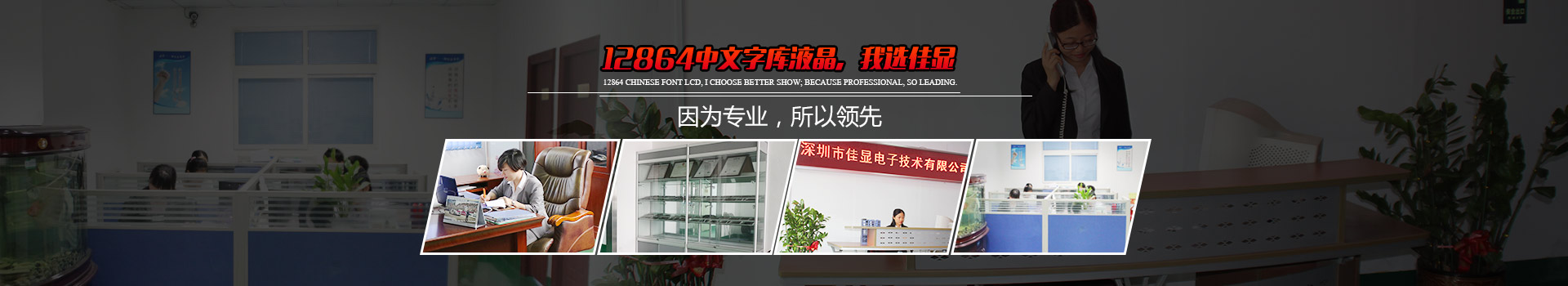 12864中文字庫液晶 12864中文字庫液晶